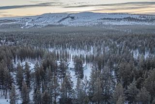 Koppelo - 2 km Levikeskus - 150 m ski bus - 7