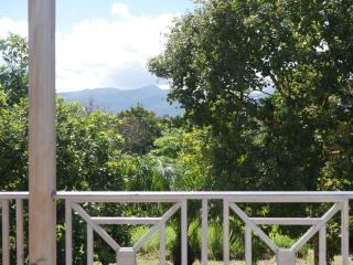 Bungalow créole en pleine campagne - 1