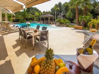 Stunning Villa with Large Pool, Billiard room and Mini-golf - Antibes - 9