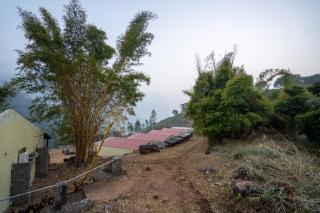 Araku Valley Resort - 15BR Cottages by Homeyhuts - 9