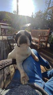 RECANTO DA GRETA- 5 min a pé da praia - Uma suíte exclusiva e um quarto aconchegante - A melhor GUEST HOUSE do sul da ilha de Floripa - 7