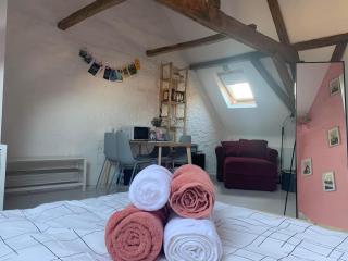 Cozy loft in private house at the center of Ghent - 4