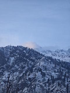 Peace homestay n cafe - 9