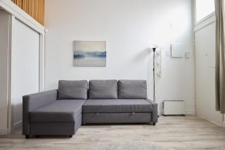 JRA alojamiento entero reformado en Legazpi - 7