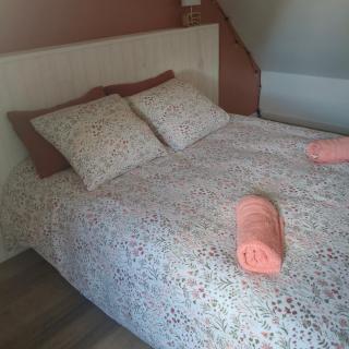 Gîte de rural de 15 personnes, bain nordique, rivière et nature - 8