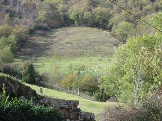 Le Gîte de Saint Izaire - 9