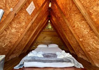 All Natural Glamping - 3