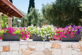 L' angolo da Damiano - 3