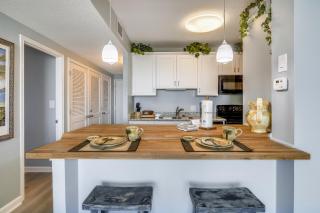 Galvestonian 409-Pelican Pathway - 1