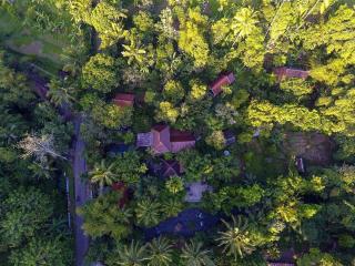 Mi Casa - The gem of Ijen - Banyuwangi - 1