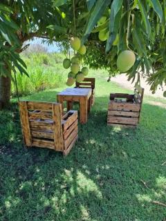 Maison cosy près de Petit-Canal sur 30 m² avec jardin - 9