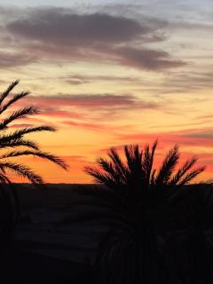 Rimal Travel Camp - 9