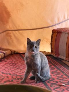 Rimal Travel Camp - 3