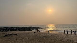 Sattva Camps and Cottages - 6