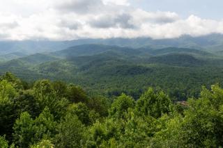 Deer Ridge Mountain Resort C102 - 7