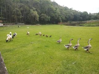 Hotel Fazenda Rio dos Frades - 6