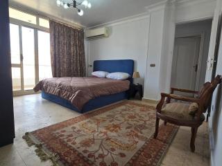 Newly refurbished apartment cairo dokki - 2