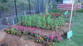 Maa Samaleshwari Farmhouse by GGH - 1