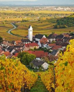 Studio cosy proche Colmar - 9