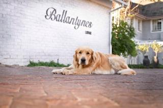 Ballantynes Lodge - 9