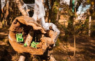 Pensión Cabañas Bosque Máxico de Bonxe - 2