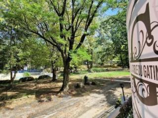 Mobil-home cosy avec terrasse pour 4 personnes - API-1-52-880 - 2