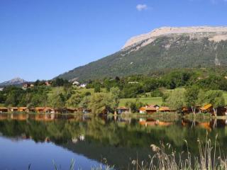 Chalet cosy avec terrasse à Freissinouse - API-1-52-962 - 2