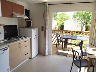 Mobil-home 3 pièces avec terrasse à Laurens - API-1-52-1150 - 9