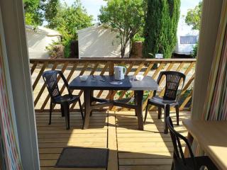 Mobil-home 3 pièces avec terrasse à Laurens - API-1-52-1150 - 5