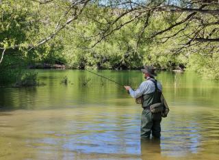 Estancia Paso Flores - 3