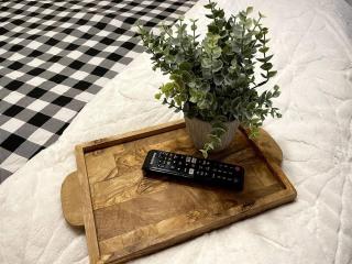 1st Floor King Lift Ski IN OUT from Back Door - 9