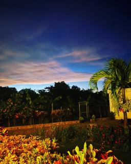 Monte y Cielo 1 apartment in Las Galeras - 4