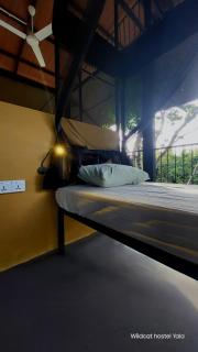 Wildcat hostel Yala - 5