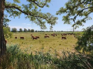 Apartements im Seepark Sellin - 4