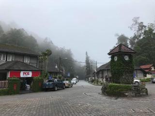 A321 Silverpark Resort 1 lifted & Mountain view - 5