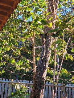 Casa do Mato Zen - 2