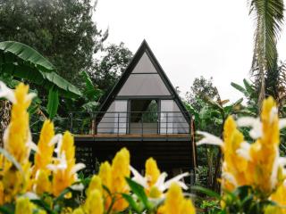 Lucero del Alba Fusagasugá - 3