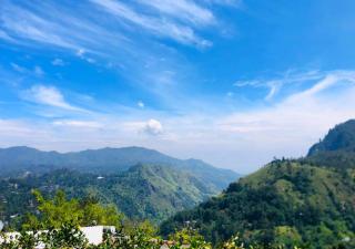 The Blue Crest -Ella - 0