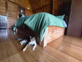 Oka wooden house88 - 7