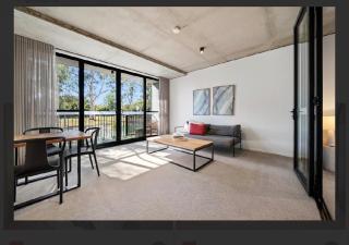 Cozy 1BR Apt pet free, free parking Kingston - 4