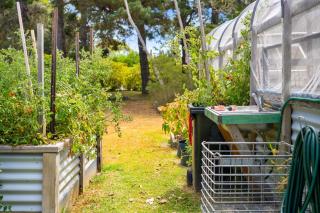 Pet Friendly Island Garden Retreat in Cowes - 4
