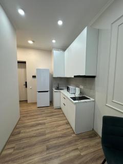 One bedroom apartment in Meridian Apartments - 4
