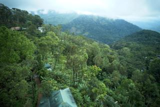 Munnar Plantation Villa - 2