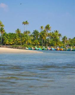 Sand Castle Beach Villa Marari - 6