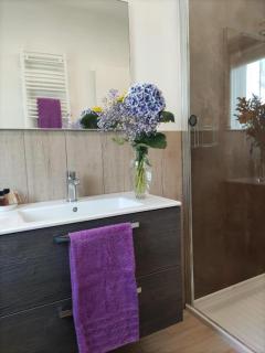 Appartamenti Bellini Viola - 3