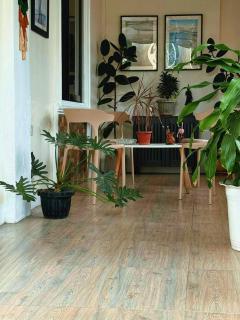 Romar's Place Roxas Orientl, Mindoro - 3