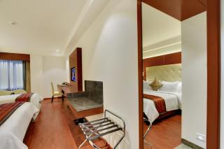 Lavender Premier - 8