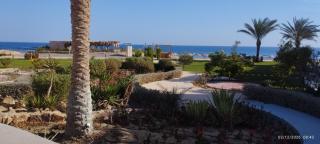 Oyster Bay Beach Studio - 9