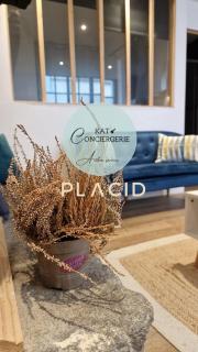 Le charme de Vannes à vos pieds - murs en pierre - 0