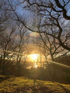 Salt Marsh Cabin - Hot tub-Sauna - 2